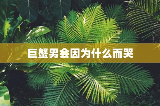 巨蟹男会因为什么而哭