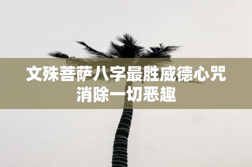 文殊菩萨八字最胜威德心咒消除一切恶趣