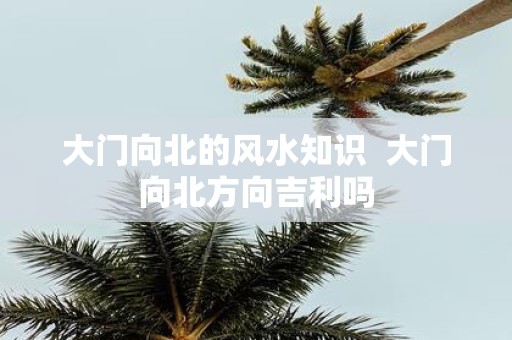 大门向北的风水知识 大门向北方向吉利吗