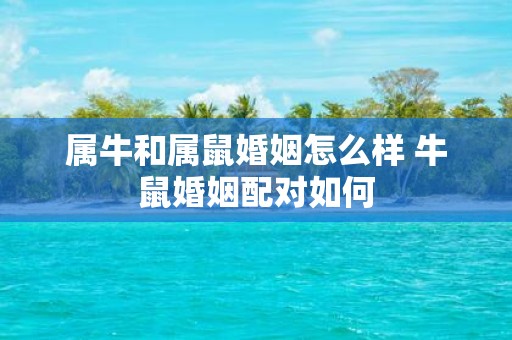 属牛和属鼠婚姻怎么样 牛鼠婚姻配对如何