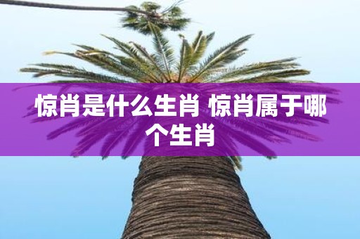 惊肖是什么生肖 惊肖属于哪个生肖