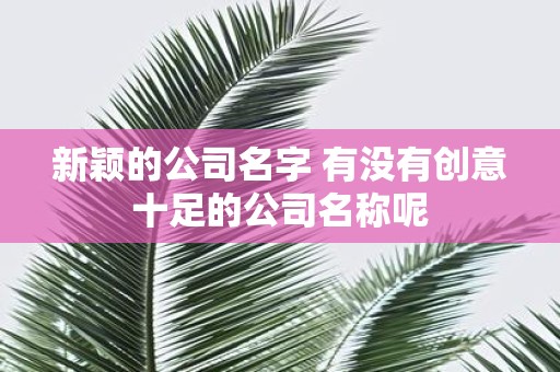 新颖的公司名字 有没有创意十足的公司名称呢