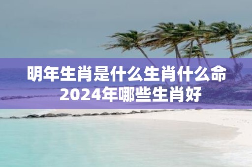 明年生肖是什么生肖什么命 2025年哪些生肖好
