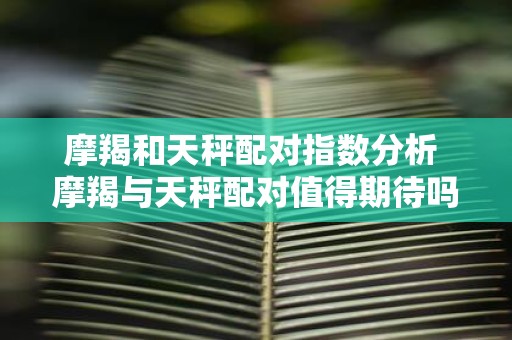 摩羯和天秤配对指数分析 摩羯与天秤配对值得期待吗