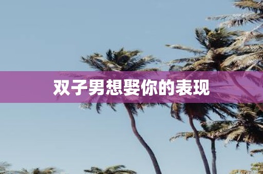 双子男想娶你的表现