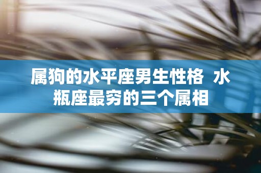 属狗的水平座男生性格 水瓶座最穷的三个属相