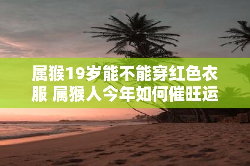 属猴19岁能不能穿红色衣服 属猴人今年如何催旺运势