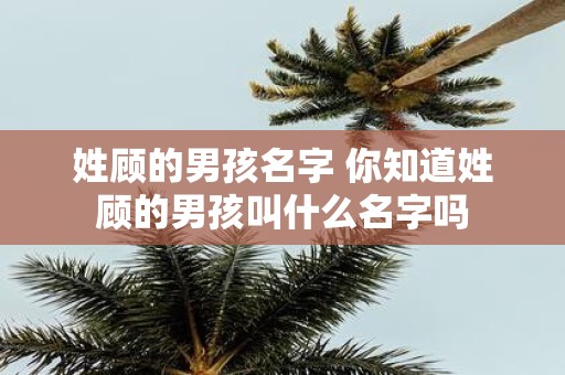 姓顾的男孩名字 你知道姓顾的男孩叫什么名字吗