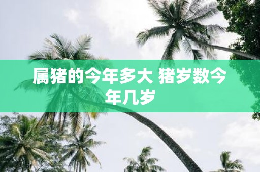 属猪的今年多大 猪岁数今年几岁