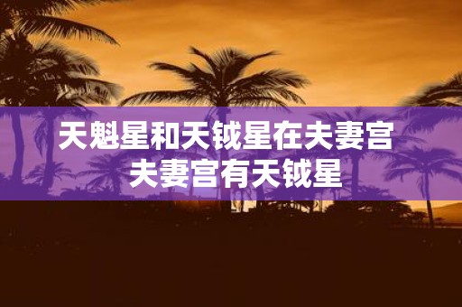 天魁星和天钺星在夫妻宫 夫妻宫有天钺星