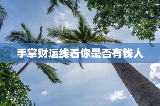 手掌财运线看你是否有钱人