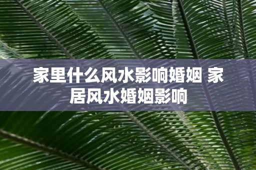 家里什么风水影响婚姻 家居风水婚姻影响