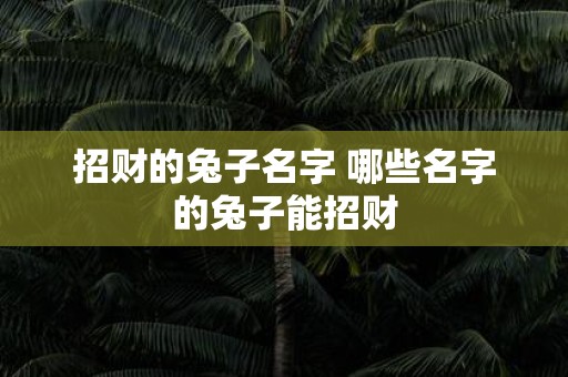 招财的兔子名字 哪些名字的兔子能招财