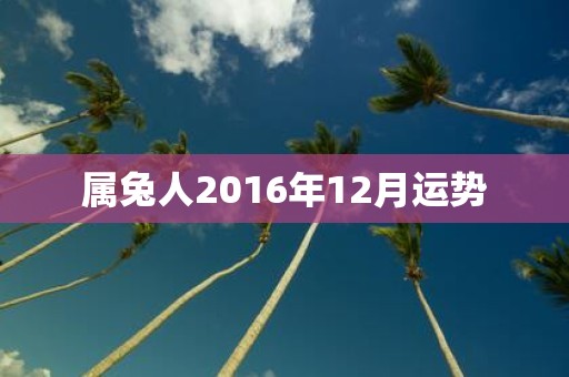属兔人2016年12月运势