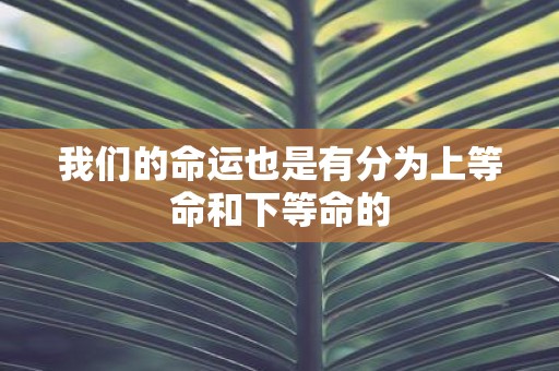 我们的命运也是有分为上等命和下等命的