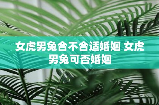 女虎男兔合不合适婚姻 女虎男兔可否婚姻