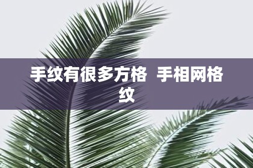 手纹有很多方格 手相网格纹