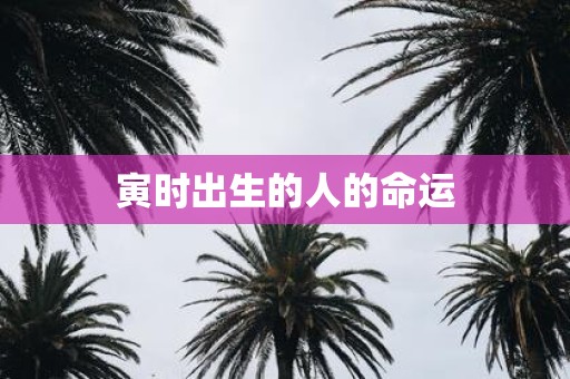 寅时出生的人的命运