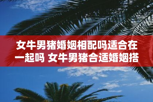 女牛男猪婚姻相配吗适合在一起吗 女牛男猪合适婚姻搭配