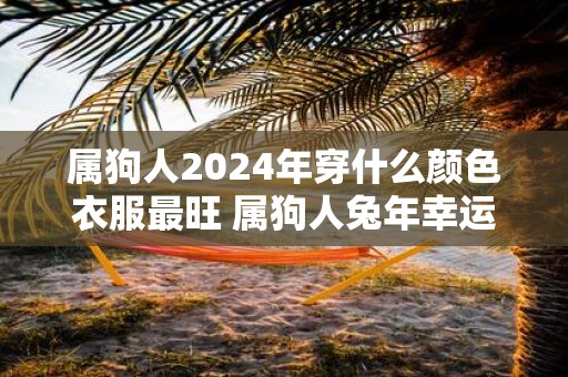 属狗人2025年穿什么颜色衣服最旺 属狗人蛇年幸运色是什么