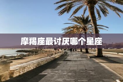 摩羯座最讨厌哪个星座