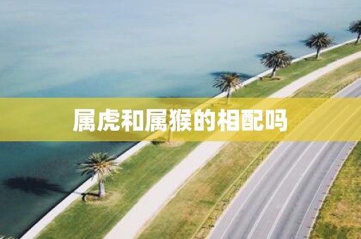 属虎和属猴的相配吗