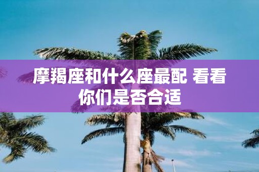 摩羯座和什么座最配 看看你们是否合适