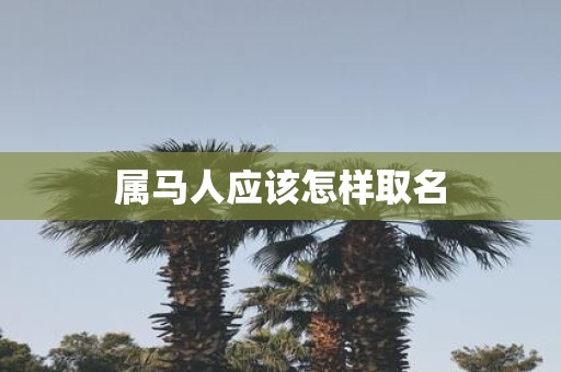 属马人应该怎样取名