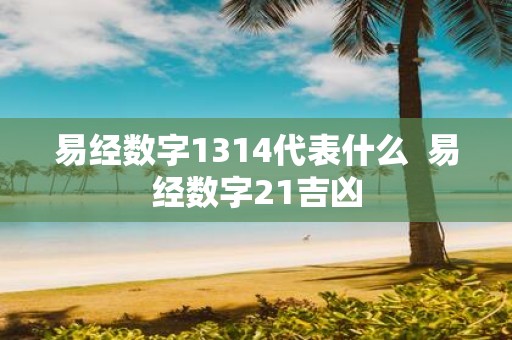 易经数字1314代表什么 易经数字21吉凶