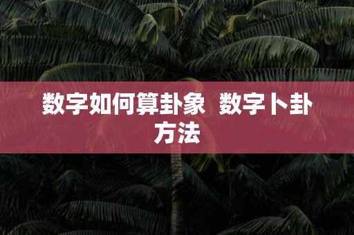 数字如何算卦象 数字卜卦方法