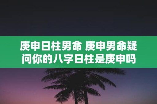 庚申日柱男命 庚申男命疑问你的八字日柱是庚申吗