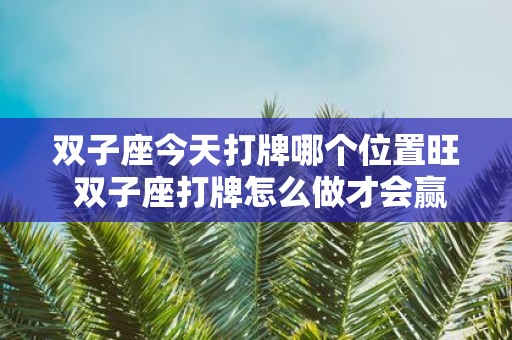 双子座今天打牌哪个位置旺 双子座打牌怎么做才会赢