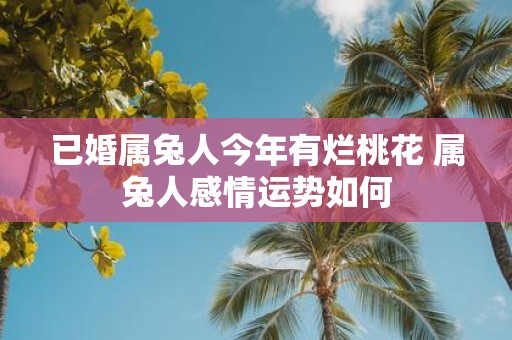 已婚属兔人今年有烂桃花 属兔人感情运势如何