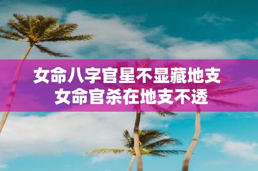女命八字官星不显藏地支 女命官杀在地支不透