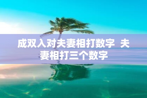 成双入对夫妻相打数字 夫妻相打三个数字