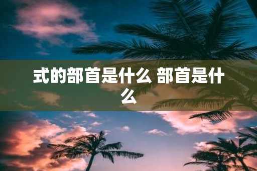式的部首是什么 部首是什么