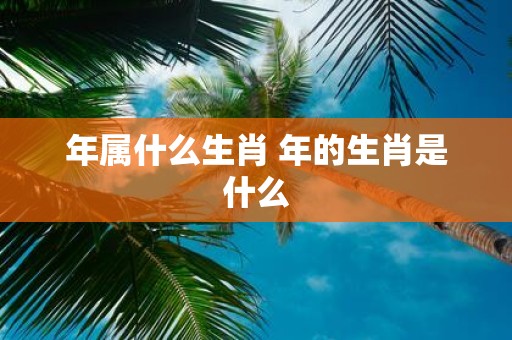 年属什么生肖 年的生肖是什么