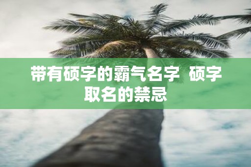 带有硕字的霸气名字 硕字取名的禁忌