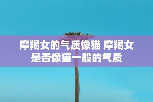 摩羯女的气质像猫 摩羯女是否像猫一般的气质