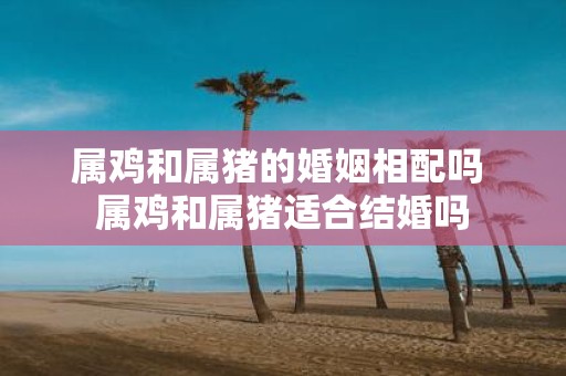 属鸡和属猪的婚姻相配吗 属鸡和属猪适合结婚吗