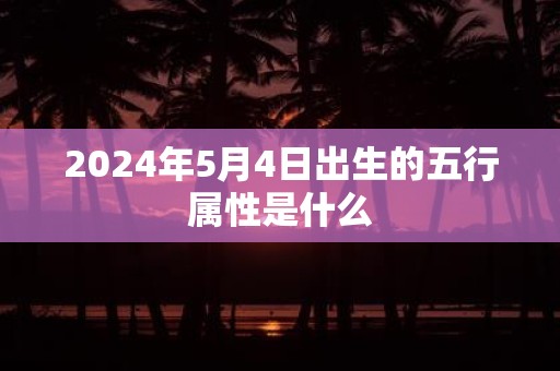 2025年5月4日出生的五行属性是什么