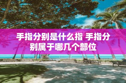 手指分别是什么指 手指分别属于哪几个部位
