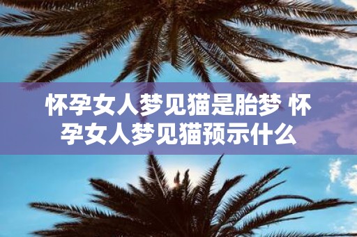 怀孕女人梦见猫是胎梦 怀孕女人梦见猫预示什么
