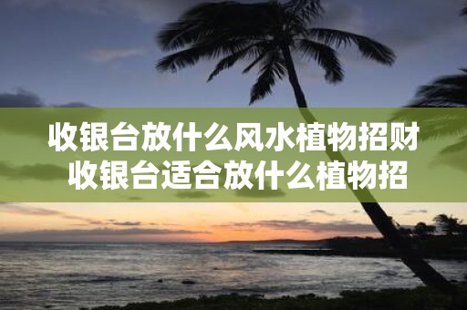 收银台放什么风水植物招财 收银台适合放什么植物招财