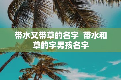 带水又带草的名字 带水和草的字男孩名字