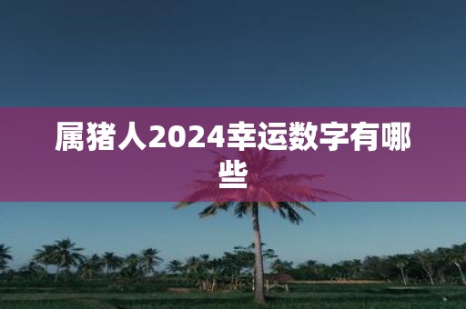 属猪人2025幸运数字有哪些
