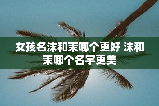 女孩名沫和茉哪个更好 沫和茉哪个名字更美