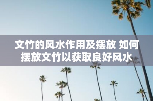 文竹的风水作用及摆放 如何摆放文竹以获取良好风水