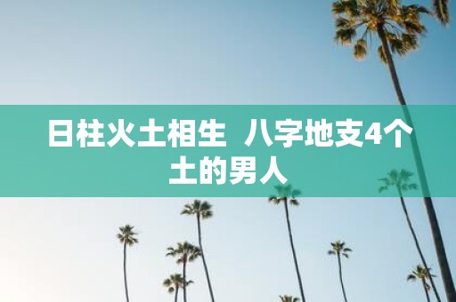 日柱火土相生 八字地支4个土的男人