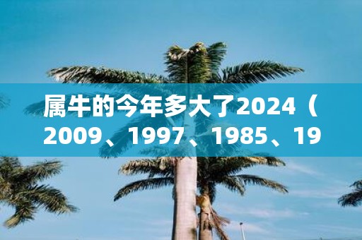 属牛的今年多大了2025（2009、1997、1985、1973、1961）
